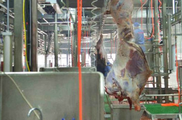 南宫NG·28(中国)相信品牌力量,NG28相信品牌的力量,NG相信品牌的力量官网食品